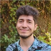 Ingeniero, clases de matemáticas/física para escolares y universitarios